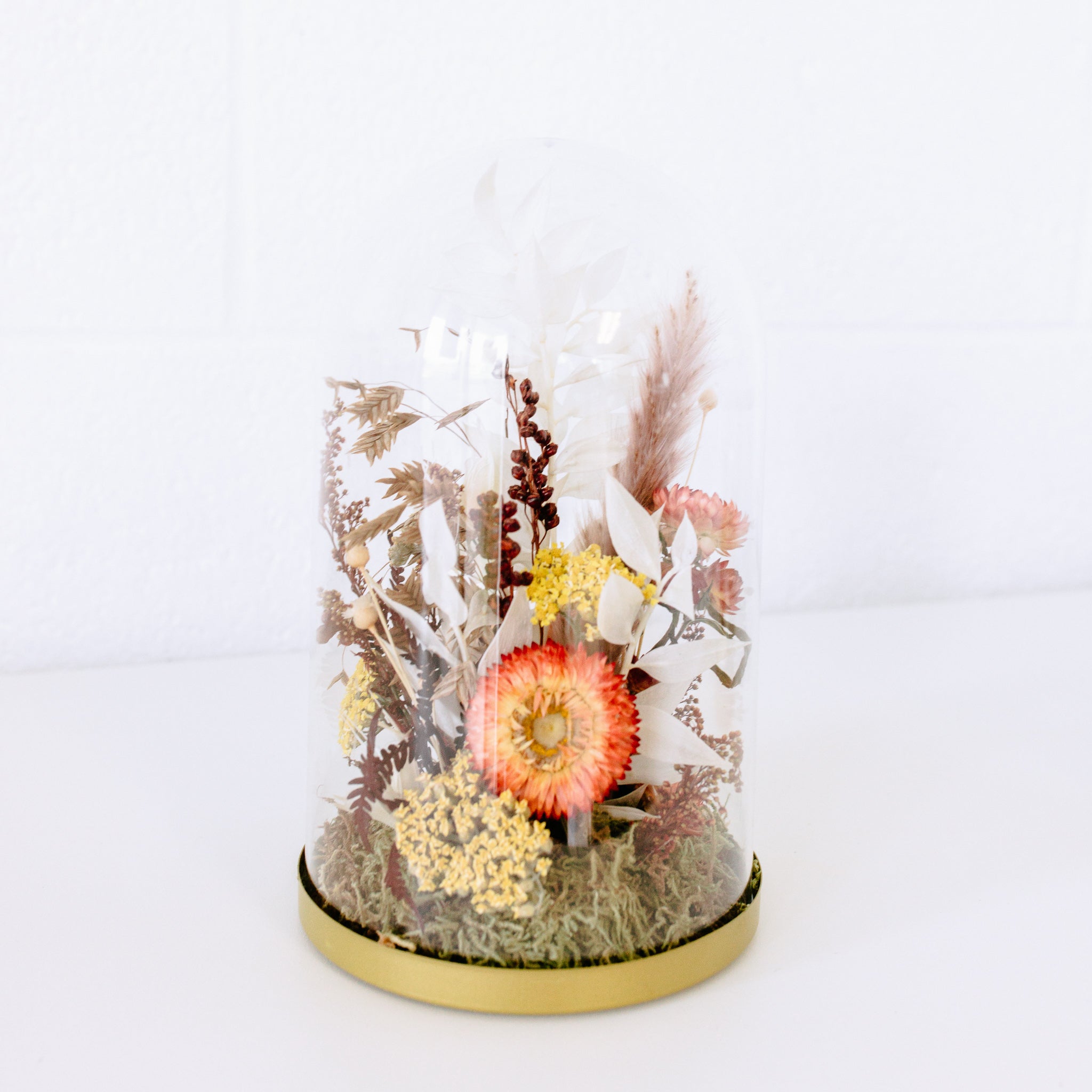 Dried Florals  Terrarium Therapy