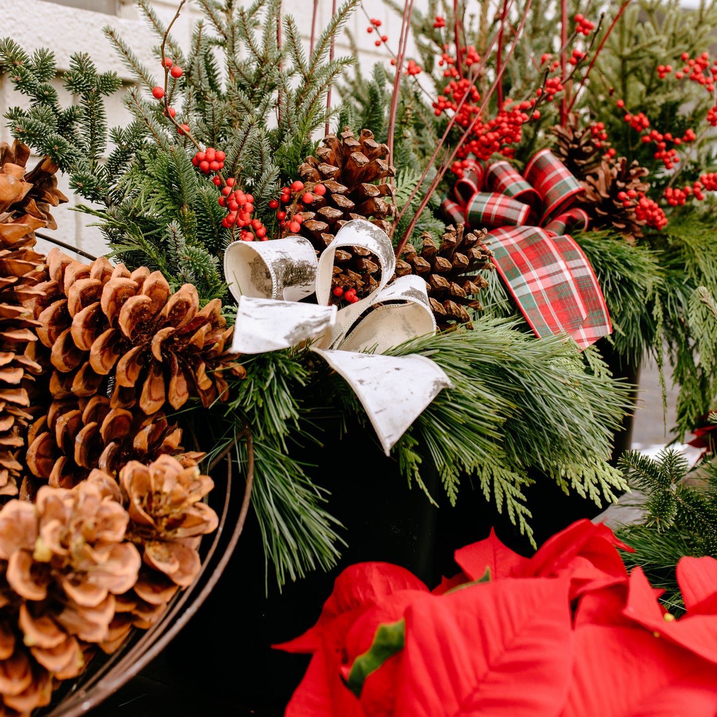 Merry Mitten Holiday