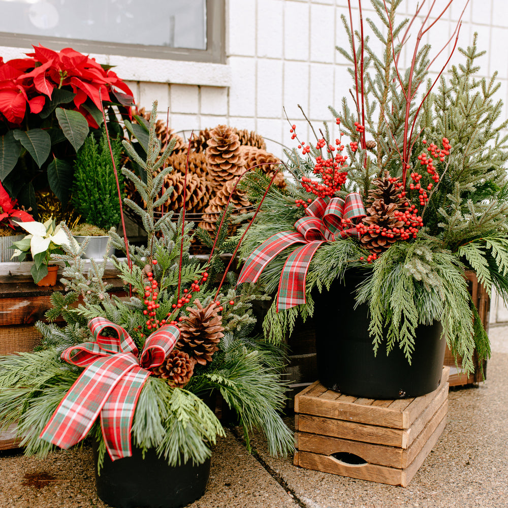 Holiday Porch Pot Workshop *SOLD OUT*