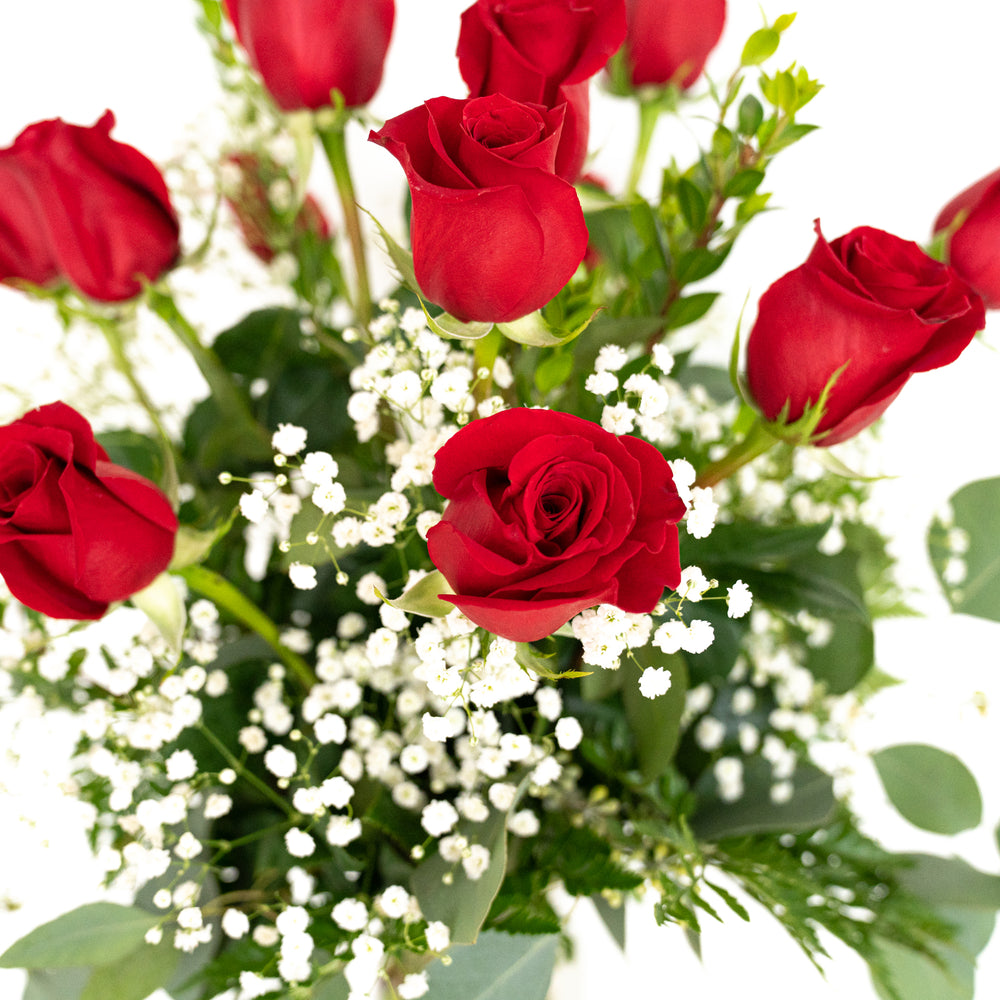 
                  
                    Roses: Premium Dozen Roses in Vase
                  
                