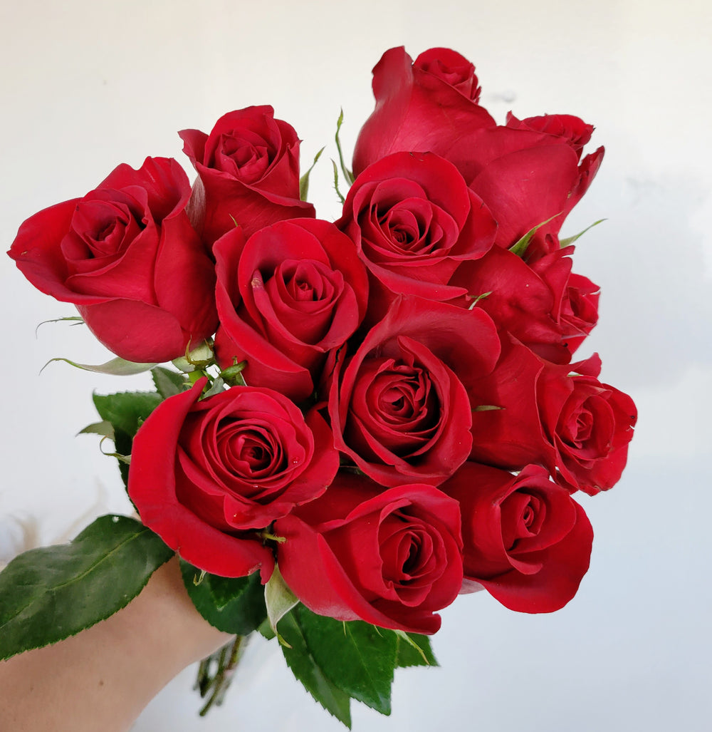 Roses: Premium Red Rose bouquet. No vase. Web special